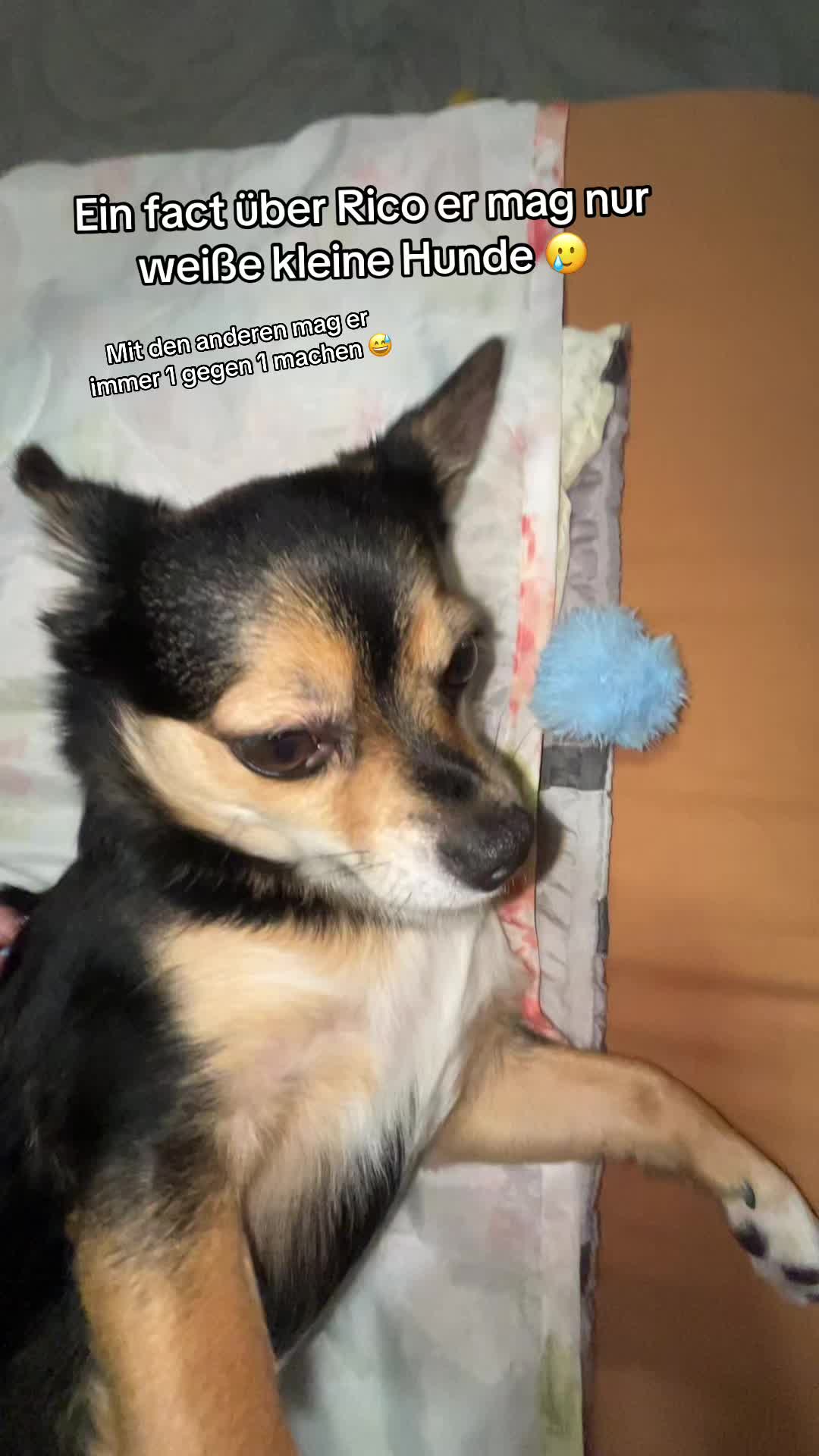 @nad1ne18