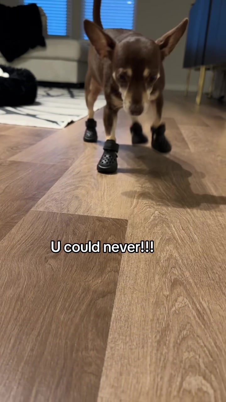 @Bruno28