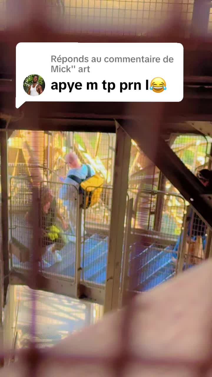 @Julien Locks 🇫🇷🦍