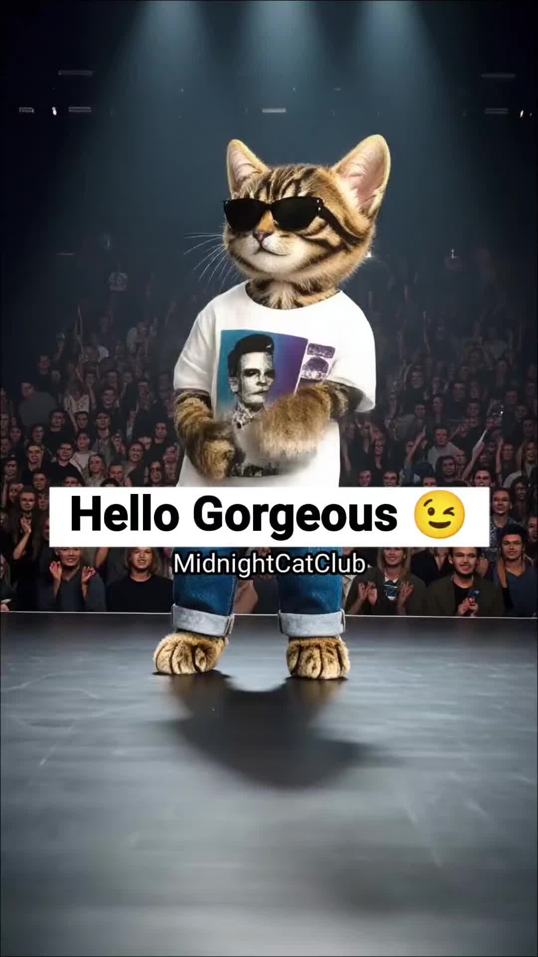 @MidnightCatClub