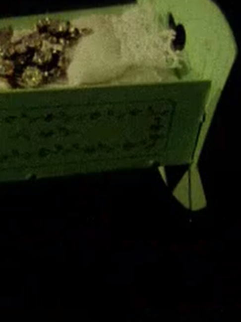 @HORROR REELS