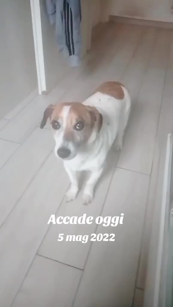 @Salvopersonaltrainer76