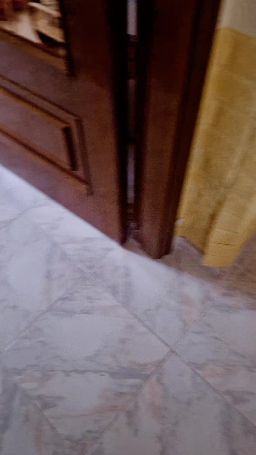 @annabellaalberini❤️