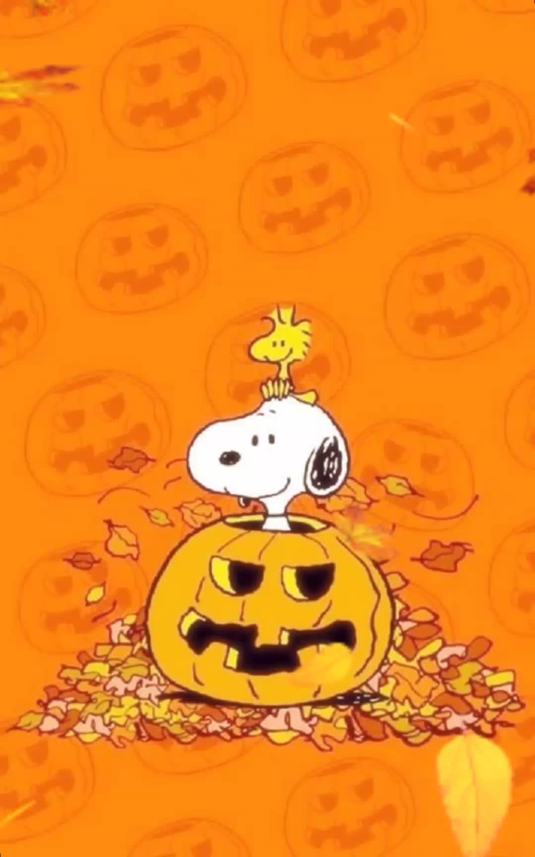 @tonyasmith3611