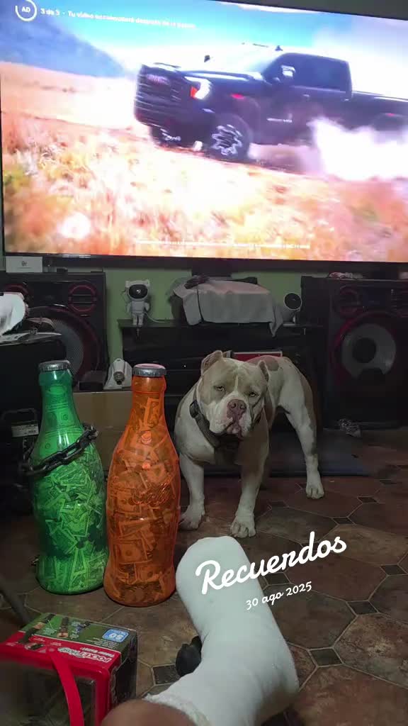 @José Yair AA