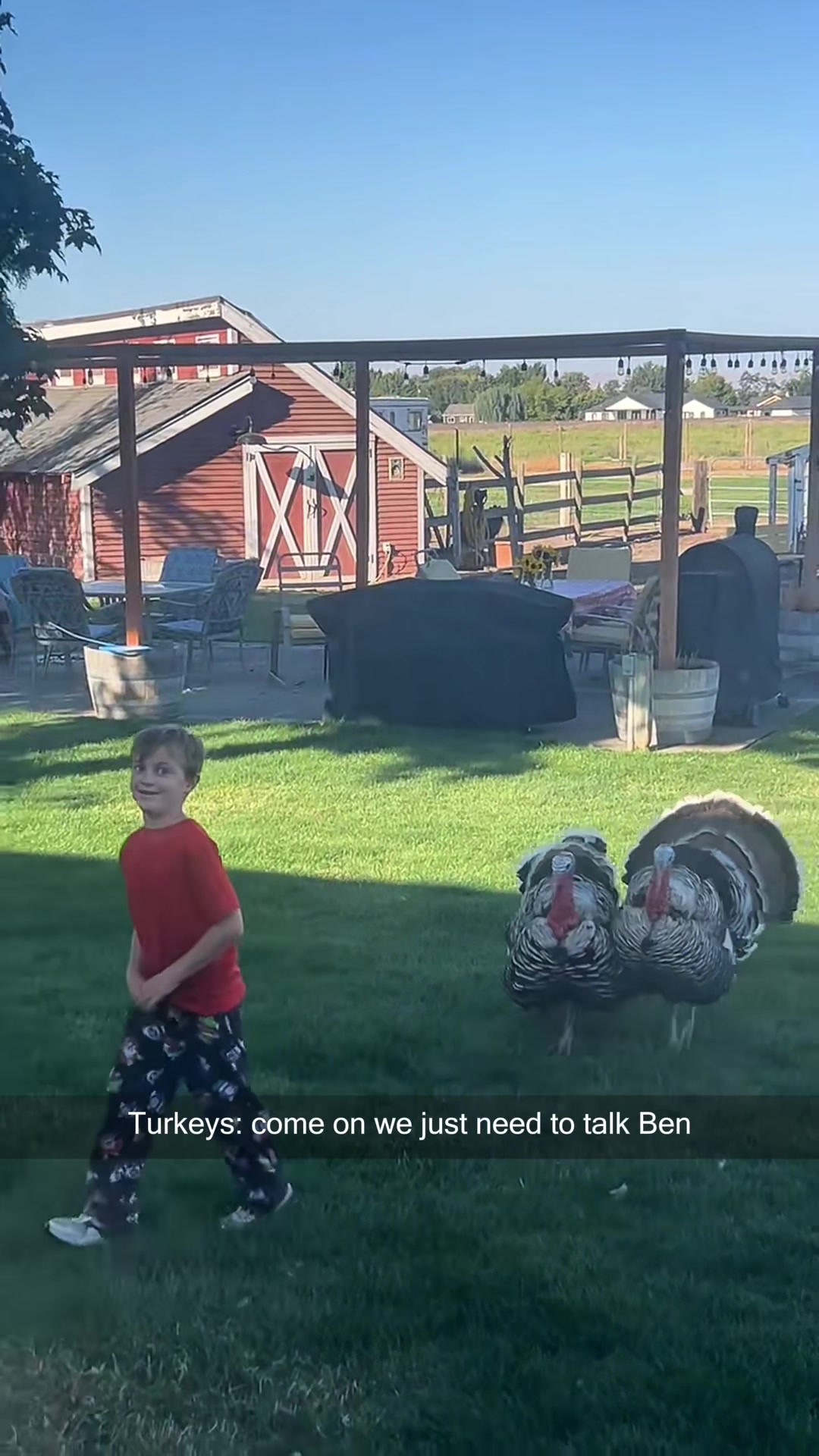 @petsoftiktok