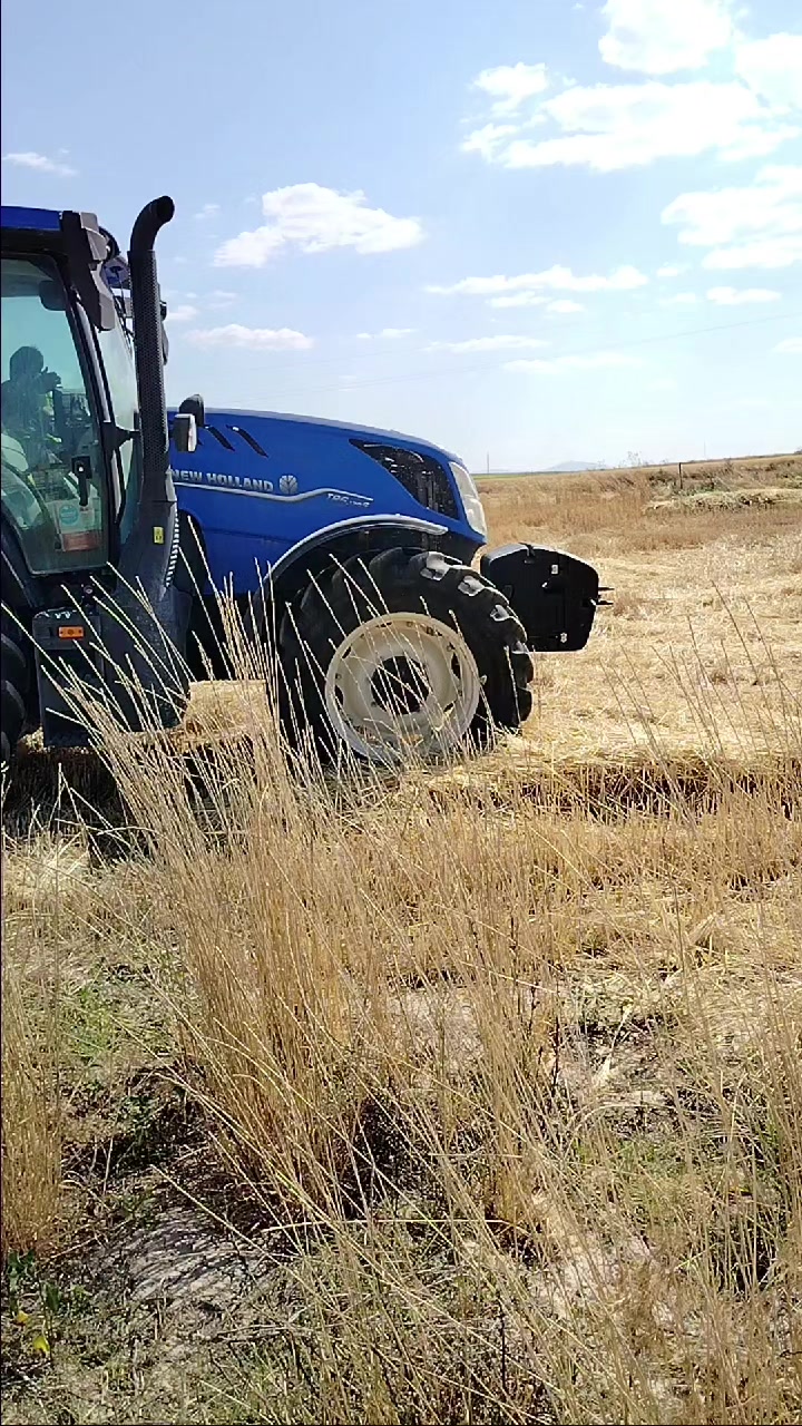 @26Kaan25