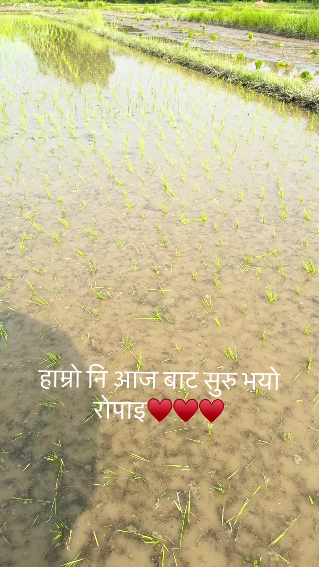 @Manju katuwal raya