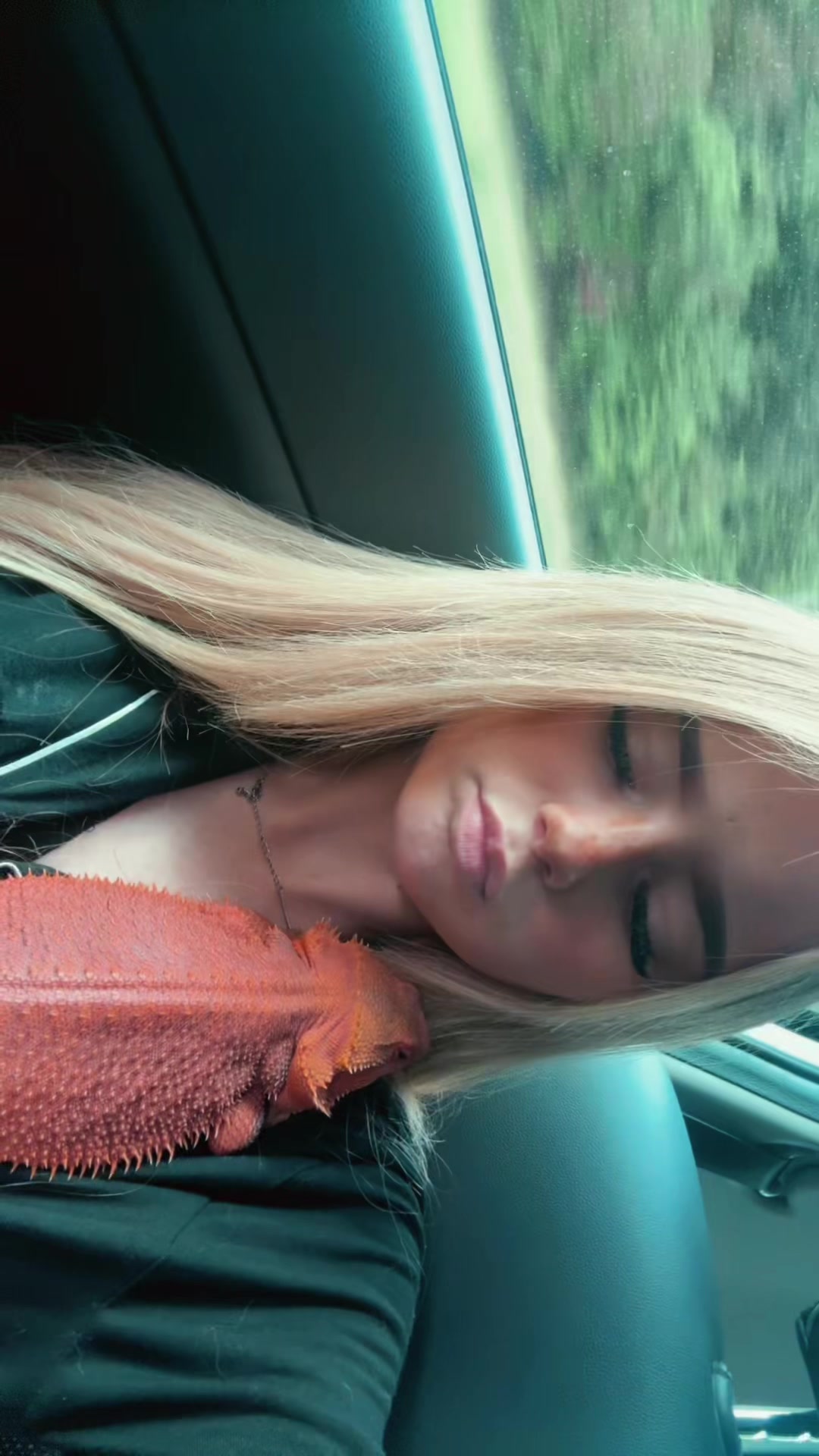 @cheesytart