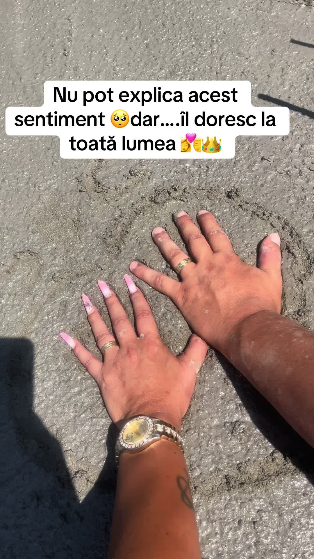 @Sylvia👑