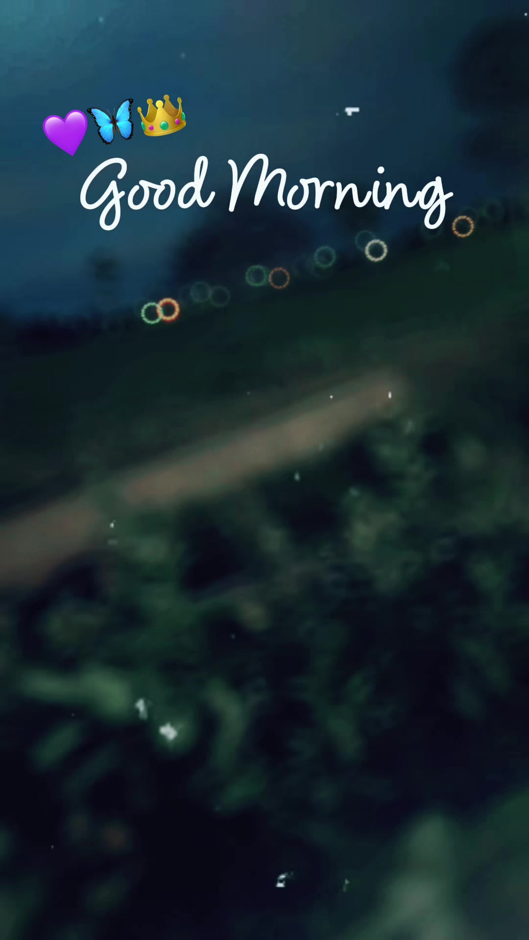 @🪶🦋𝓜𝓪𝓰𝓰𝓲𝓮🦋🪶| 🎼BᘿΛ₮🌍