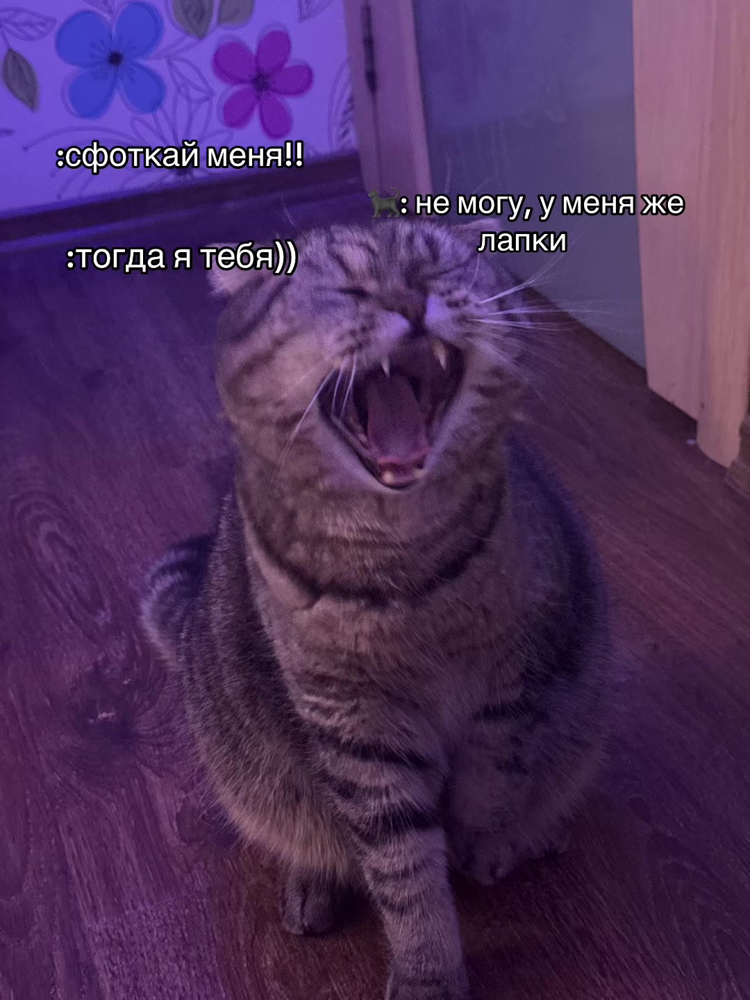 @тгк: внАконл1к