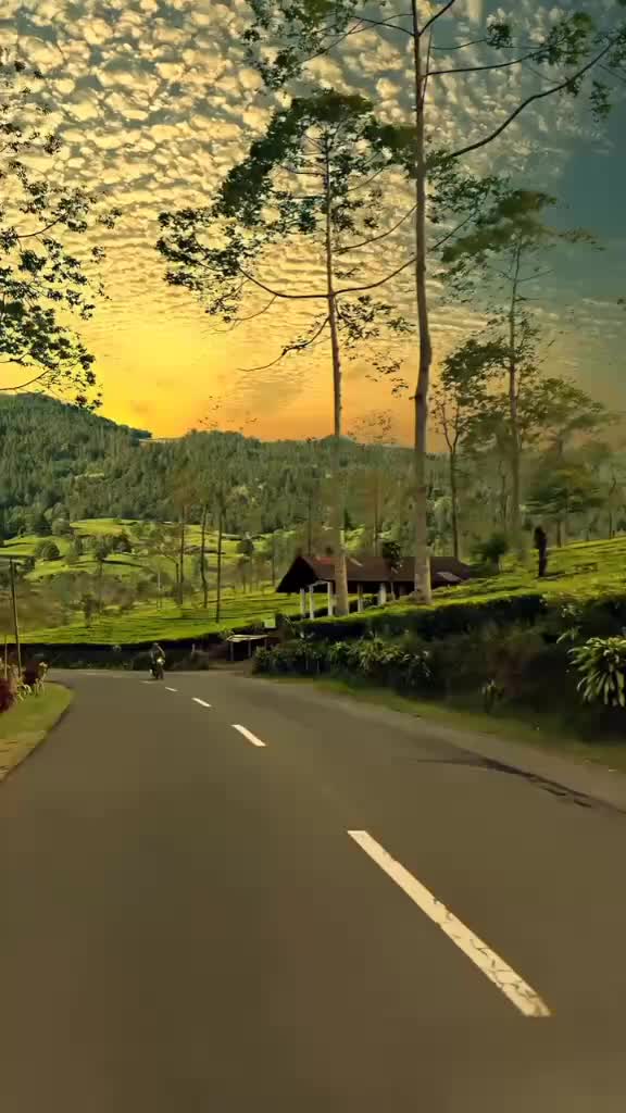 @Nurhalimah78170