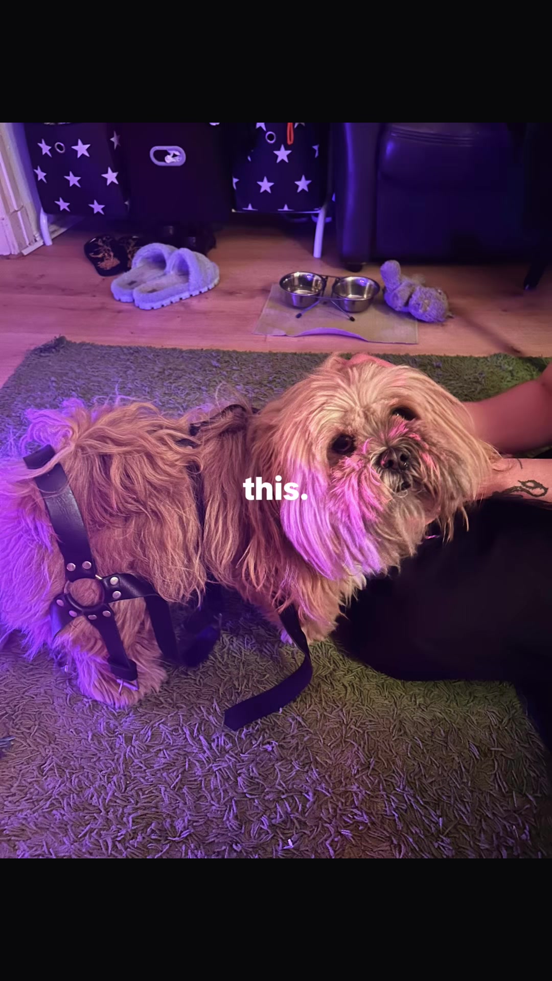 @gritsandhoney