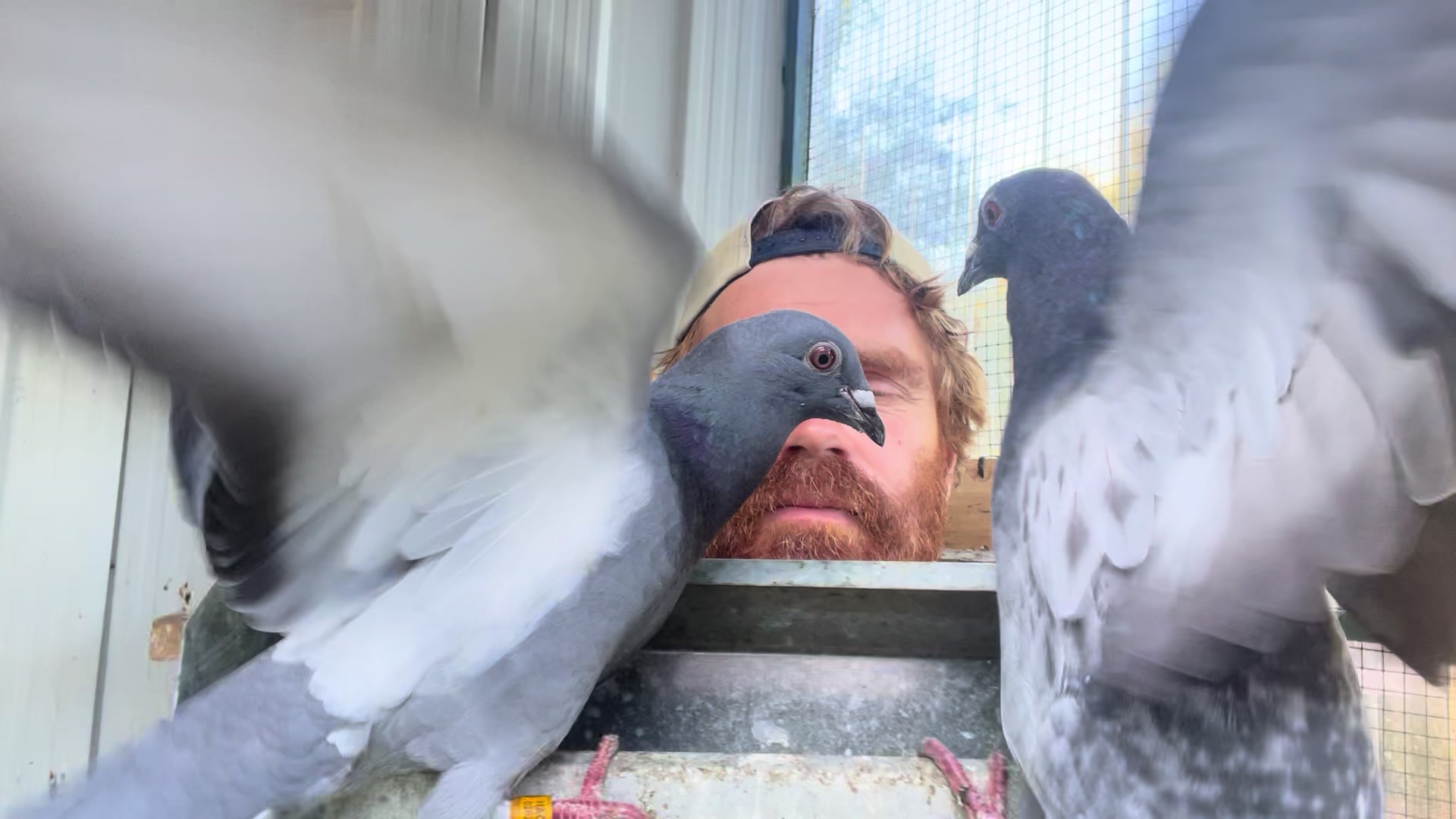 @thenewpigeonbloke