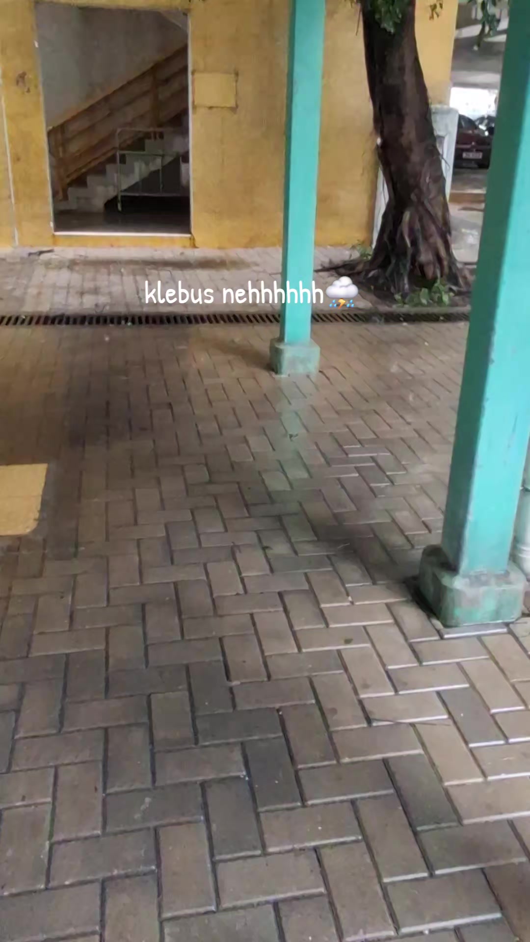 @Anit_🌵