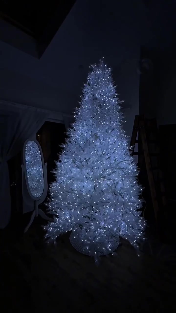 @Christmas 2026🎄🎅🏻☃️❄️✨⭐️
