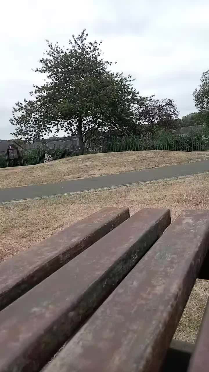 @Holsophiexx