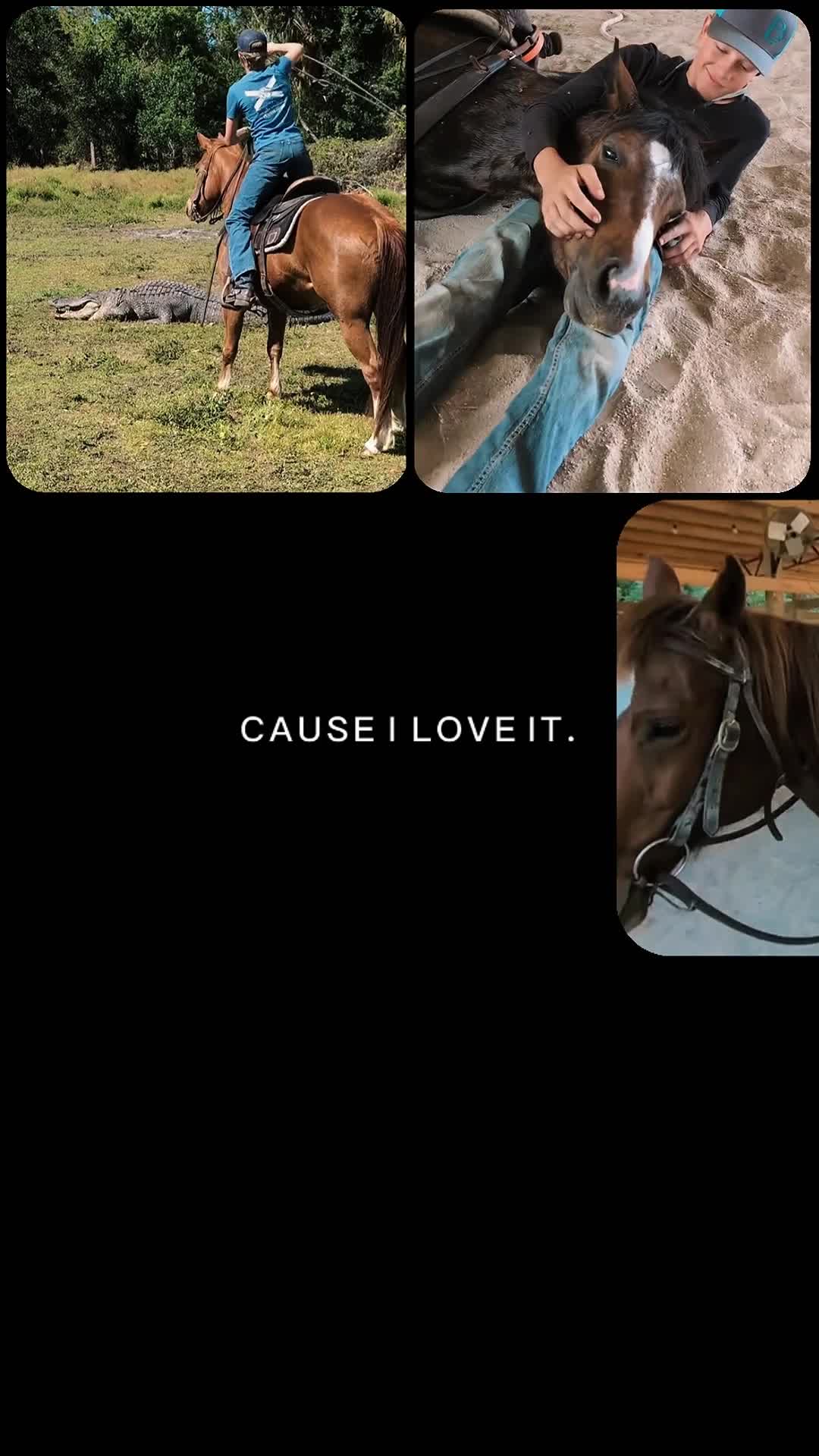 @Duyn Equine Horse Training