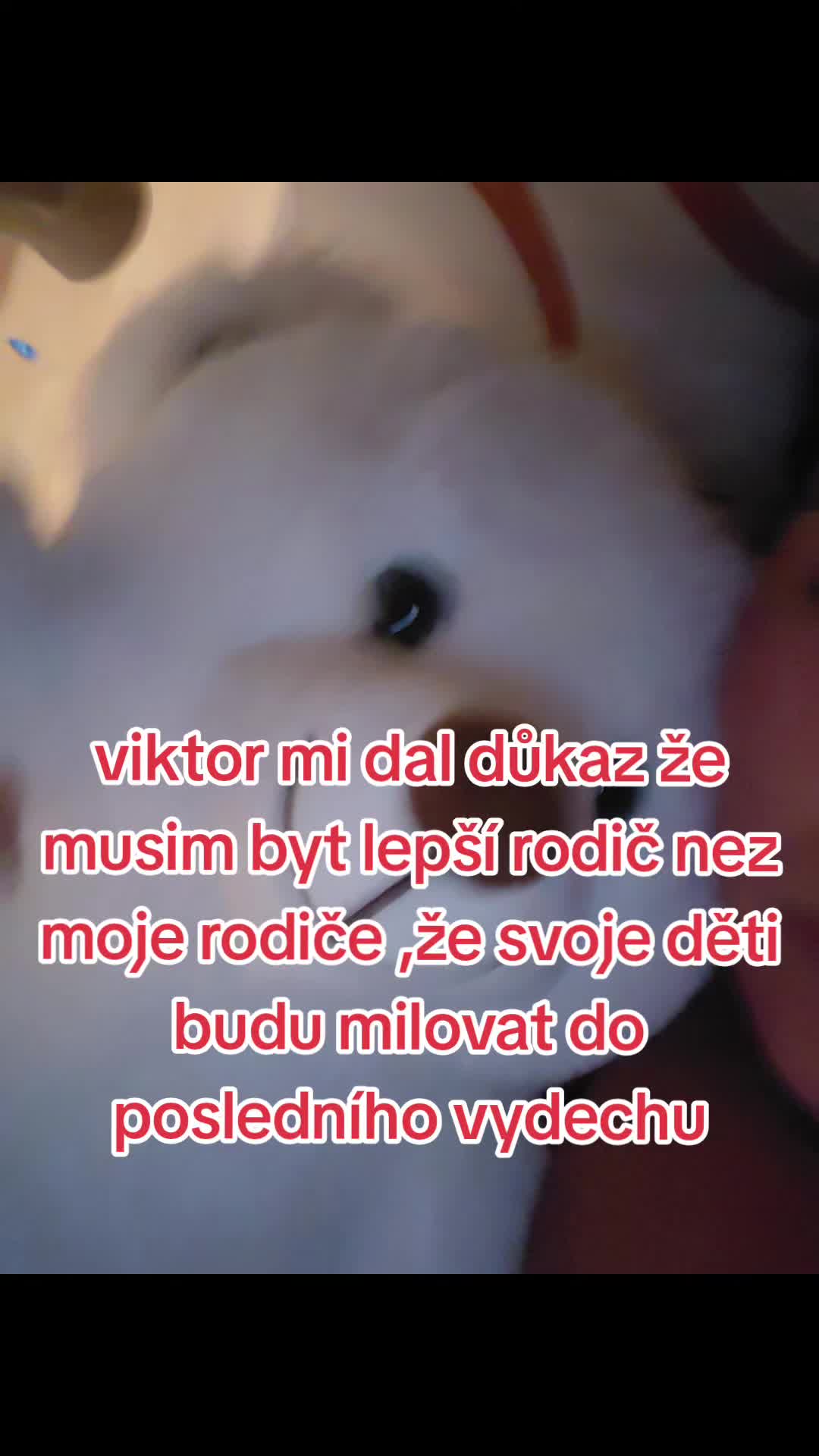 @_pajina_zmrde🦈