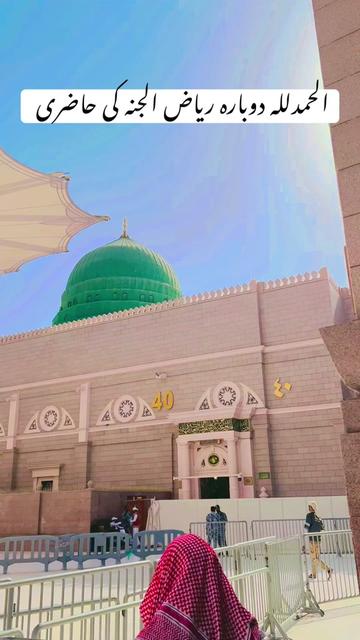 @حافظ مجاهد ڪرمي