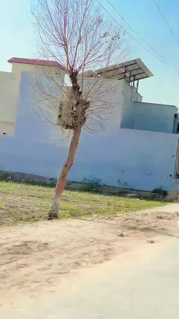 @🥀 شہزادی 🥀