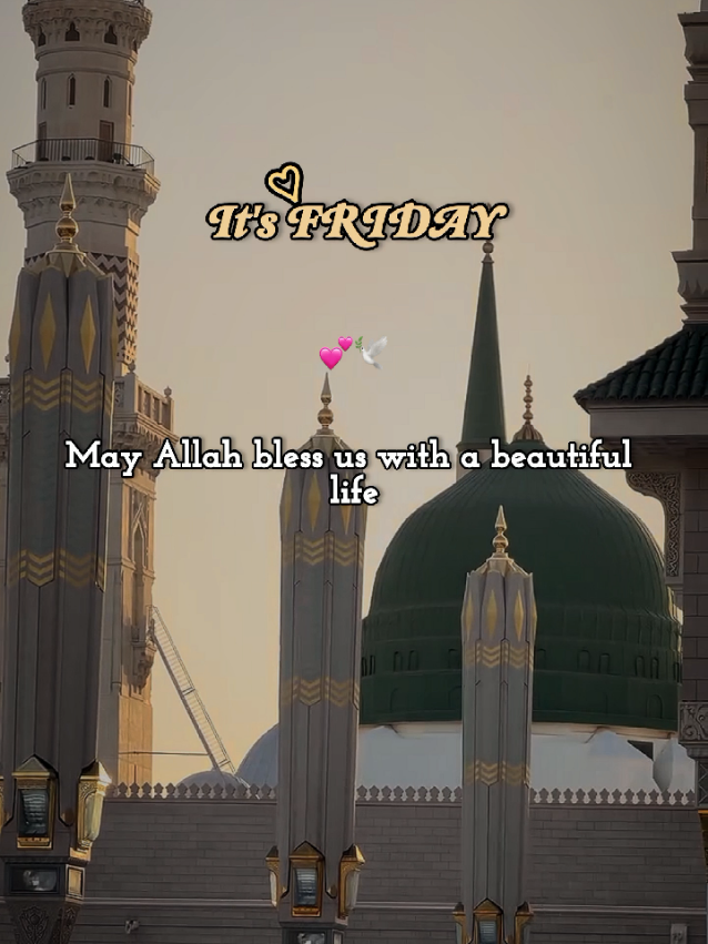 @Arooj 🦋🌼