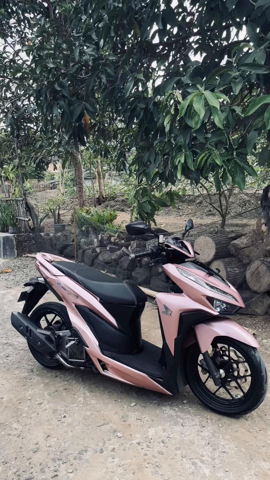 @knzptraprtma32