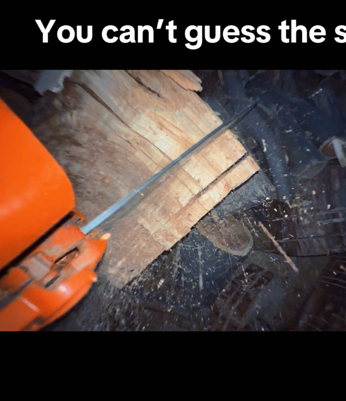@that01dodge0