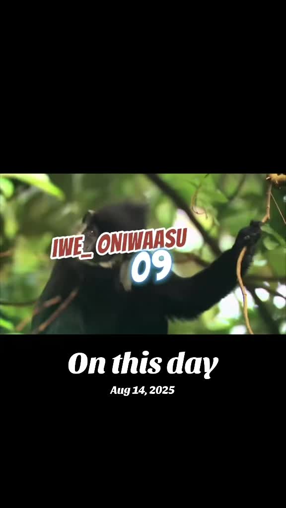 @josh_eneji