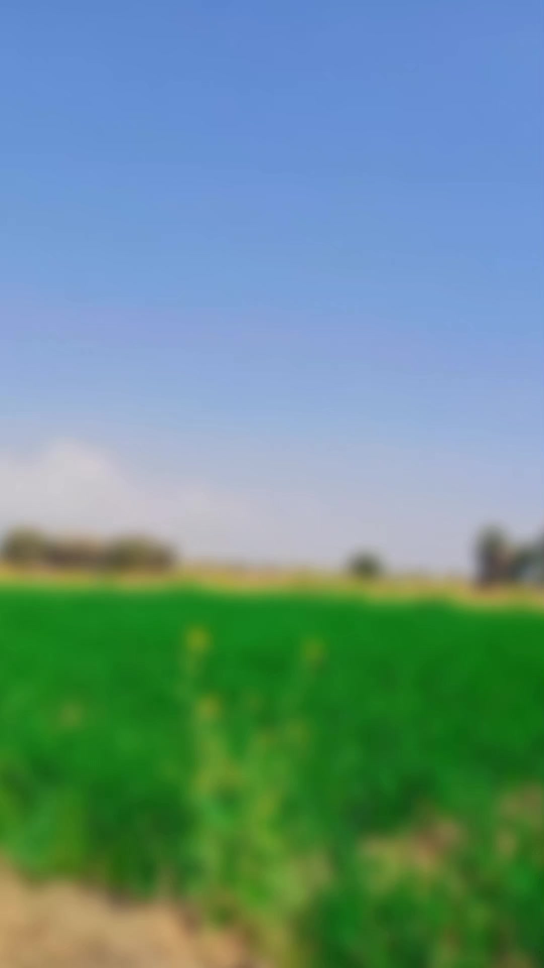 @𝙉𝙊𝙊𝙍🦋