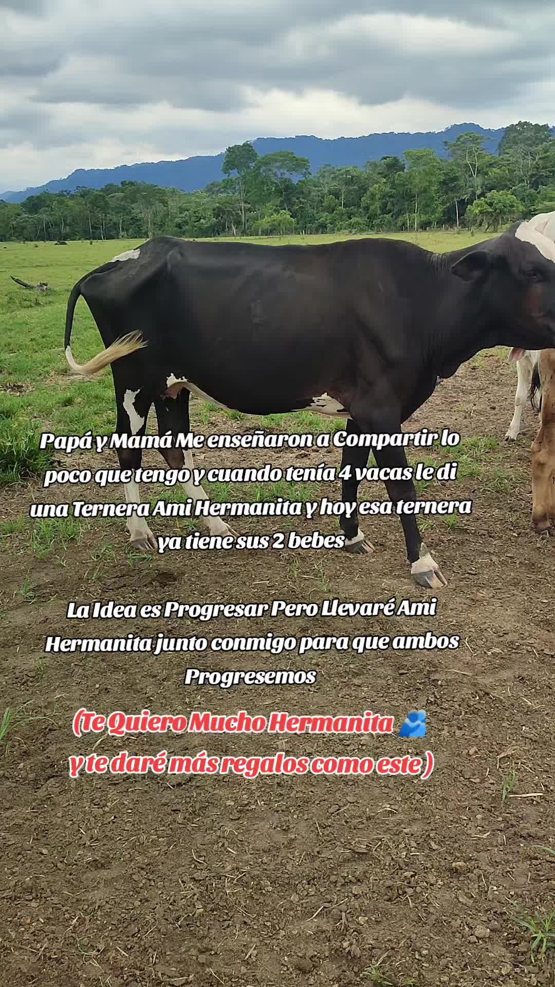 @SERGIO. R._94