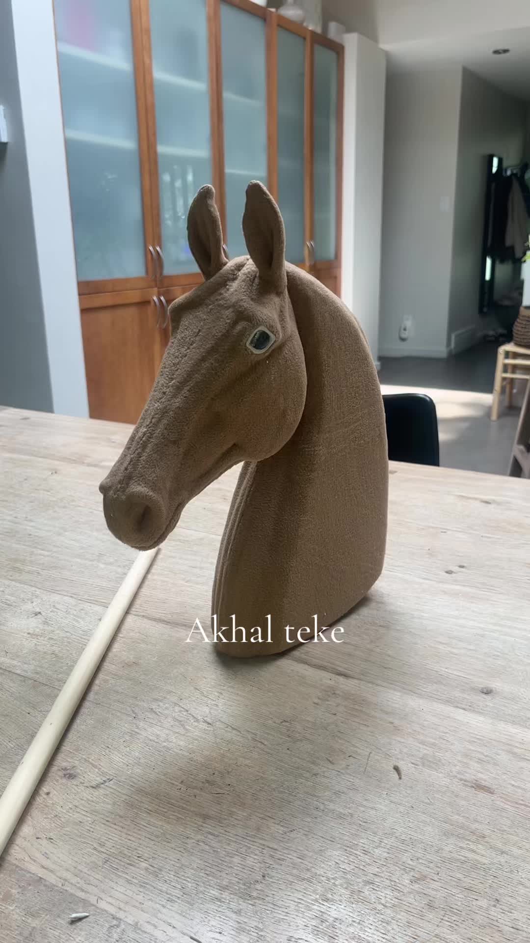 @zhobbyhorse