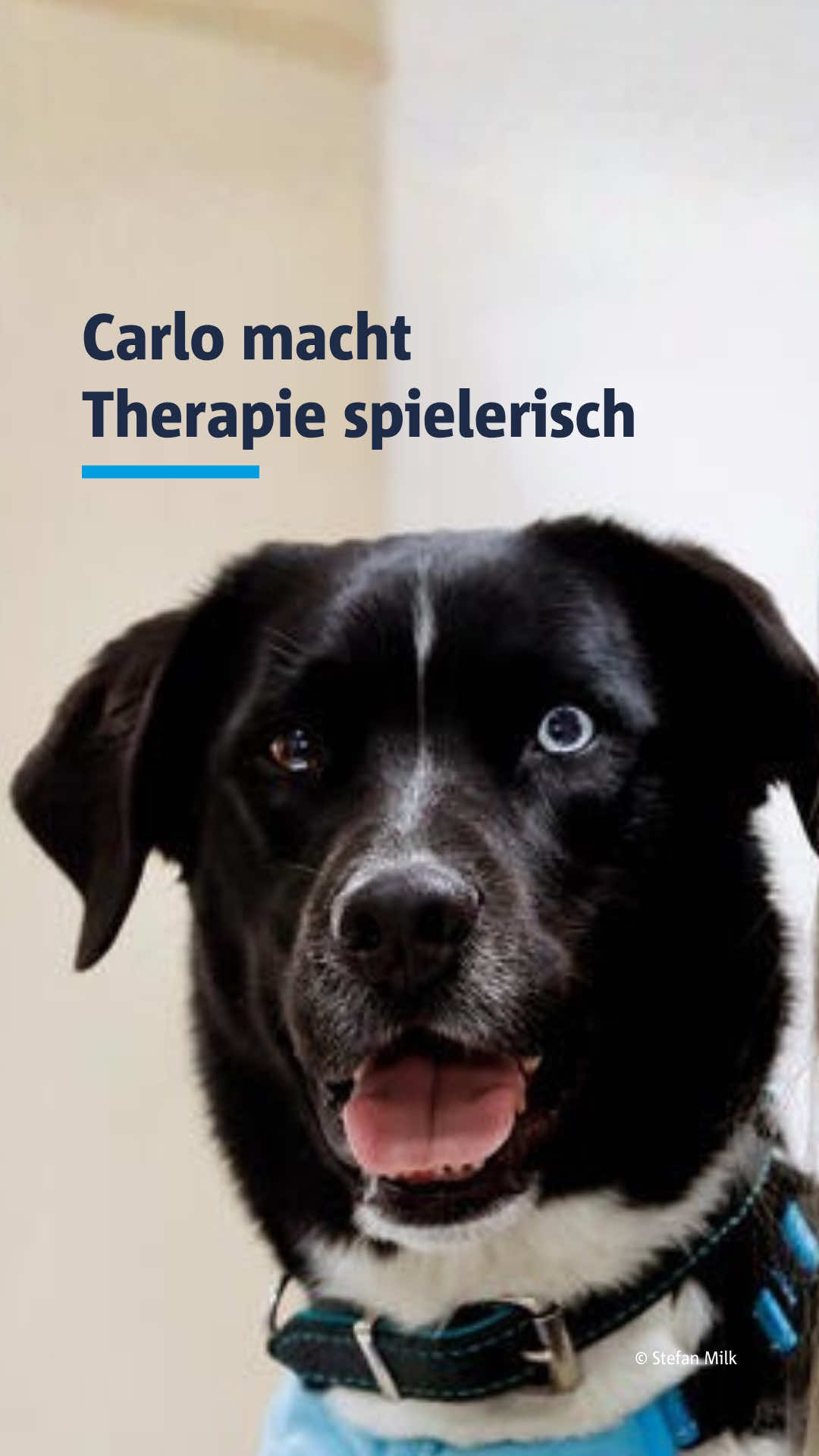 @Hellweger Anzeiger