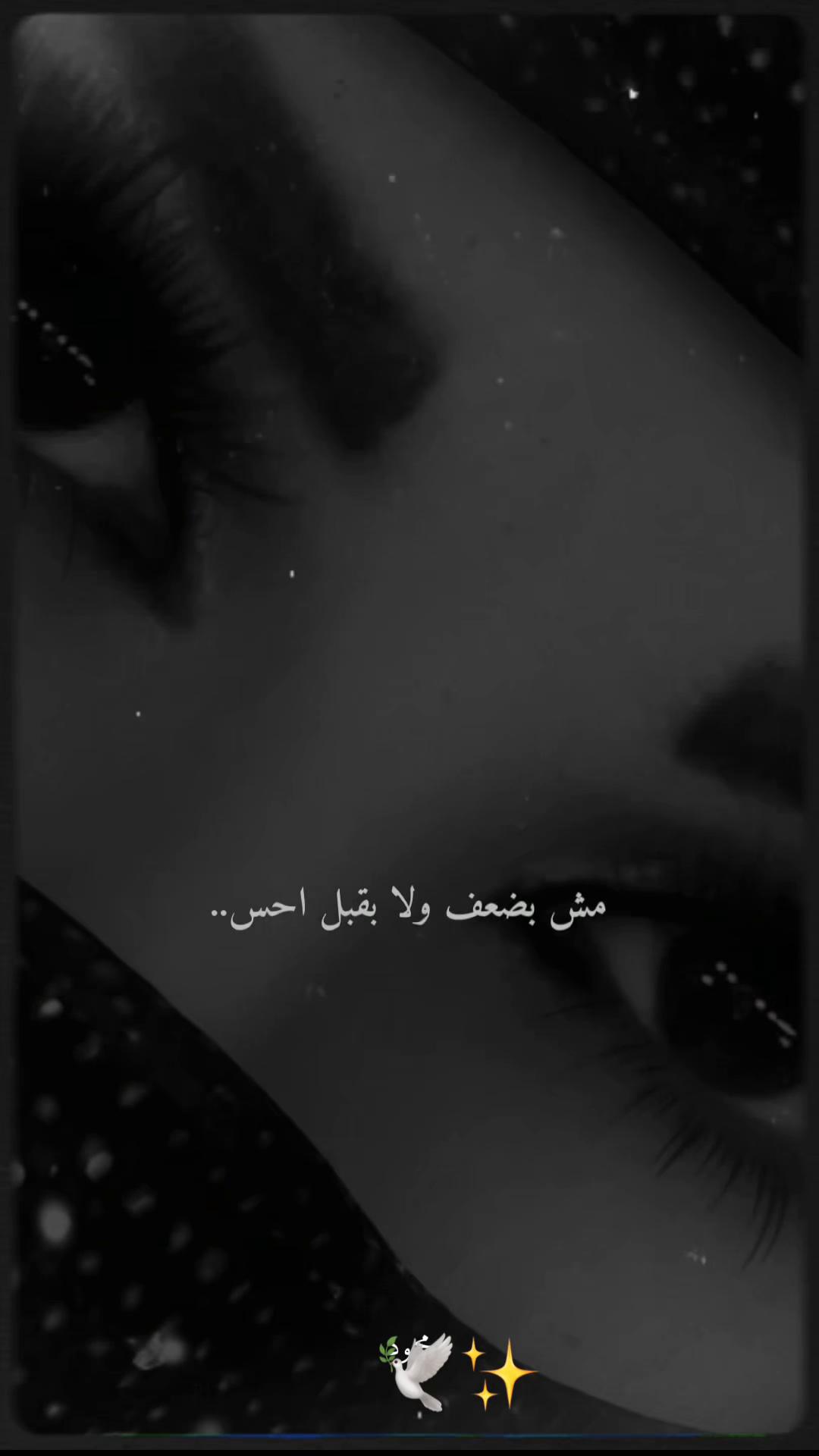 @🕊️شامية الهوى