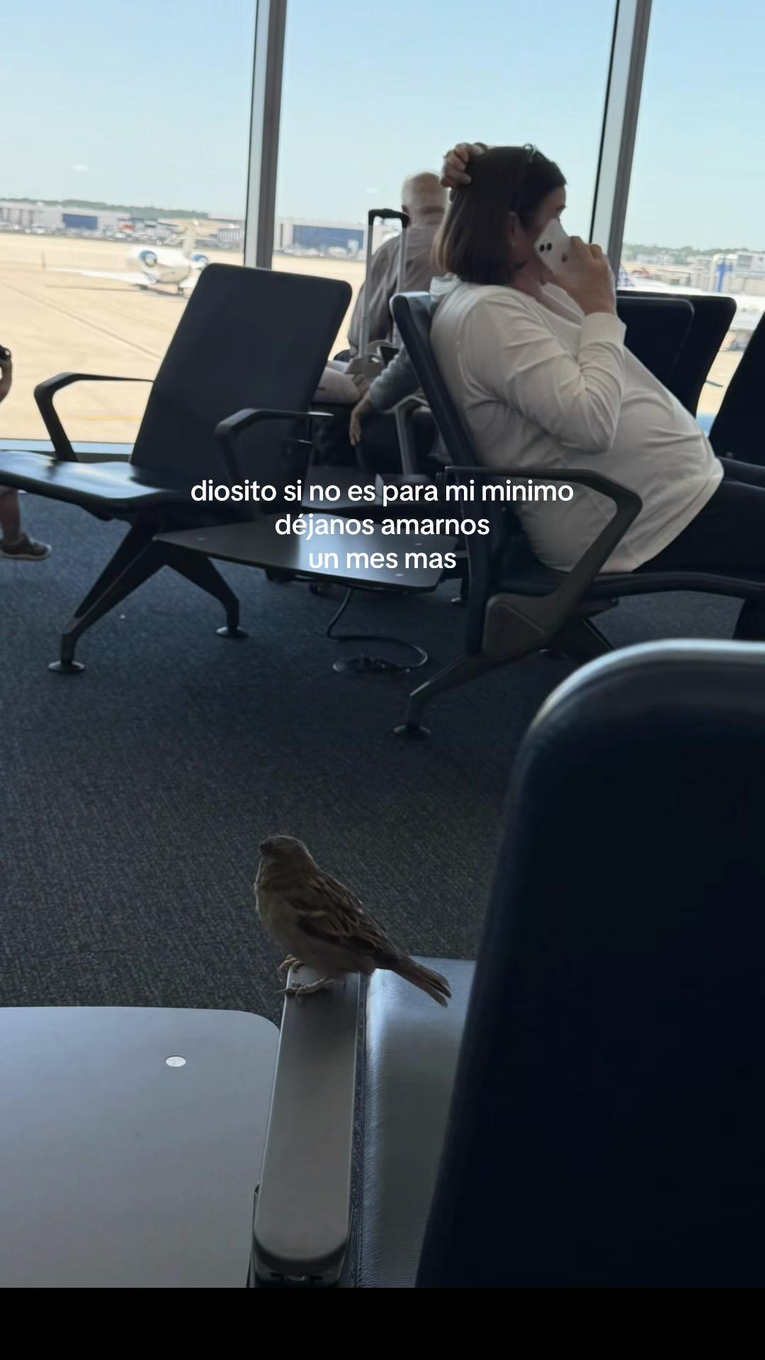 @Estefany Delgado