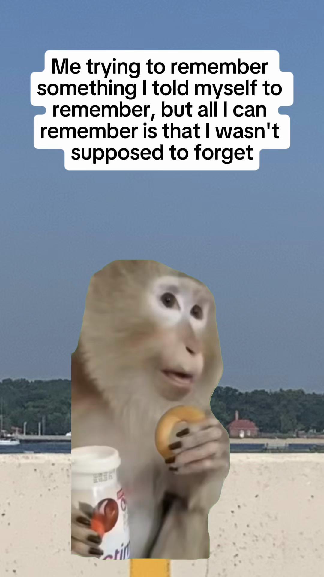 @Farrah