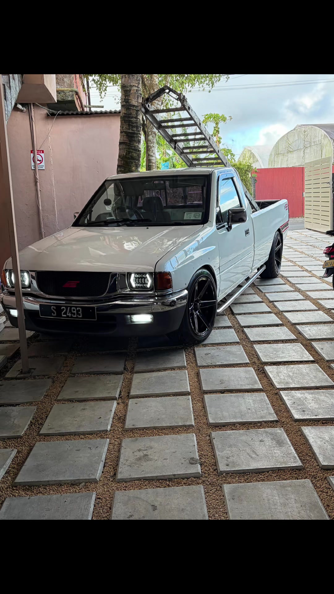 @shafikausmaly