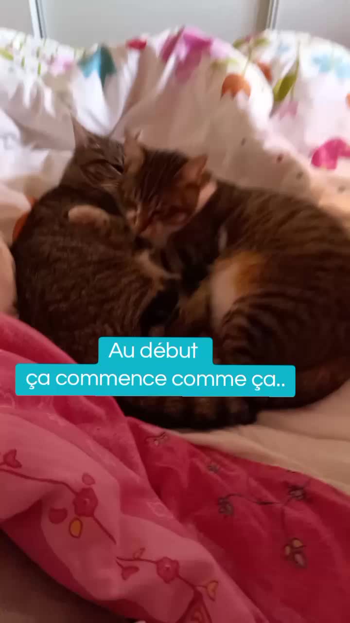 @Kitty et Jul