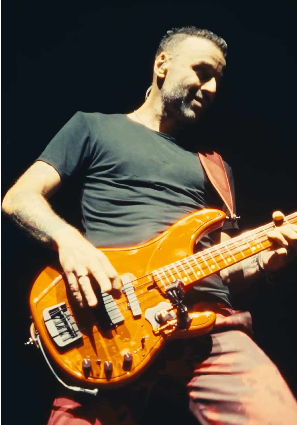 @MUSE
