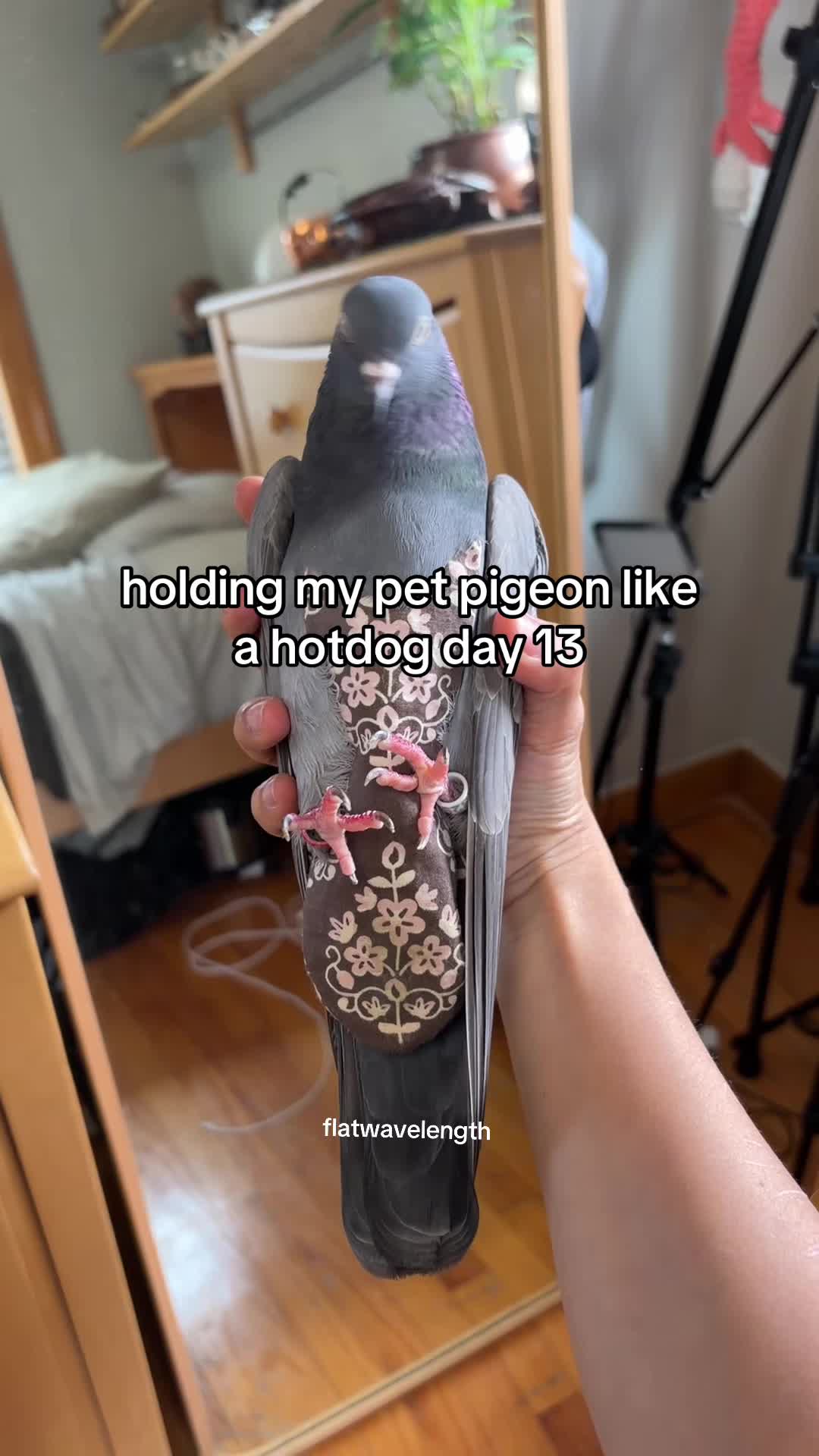 @flatwavelength