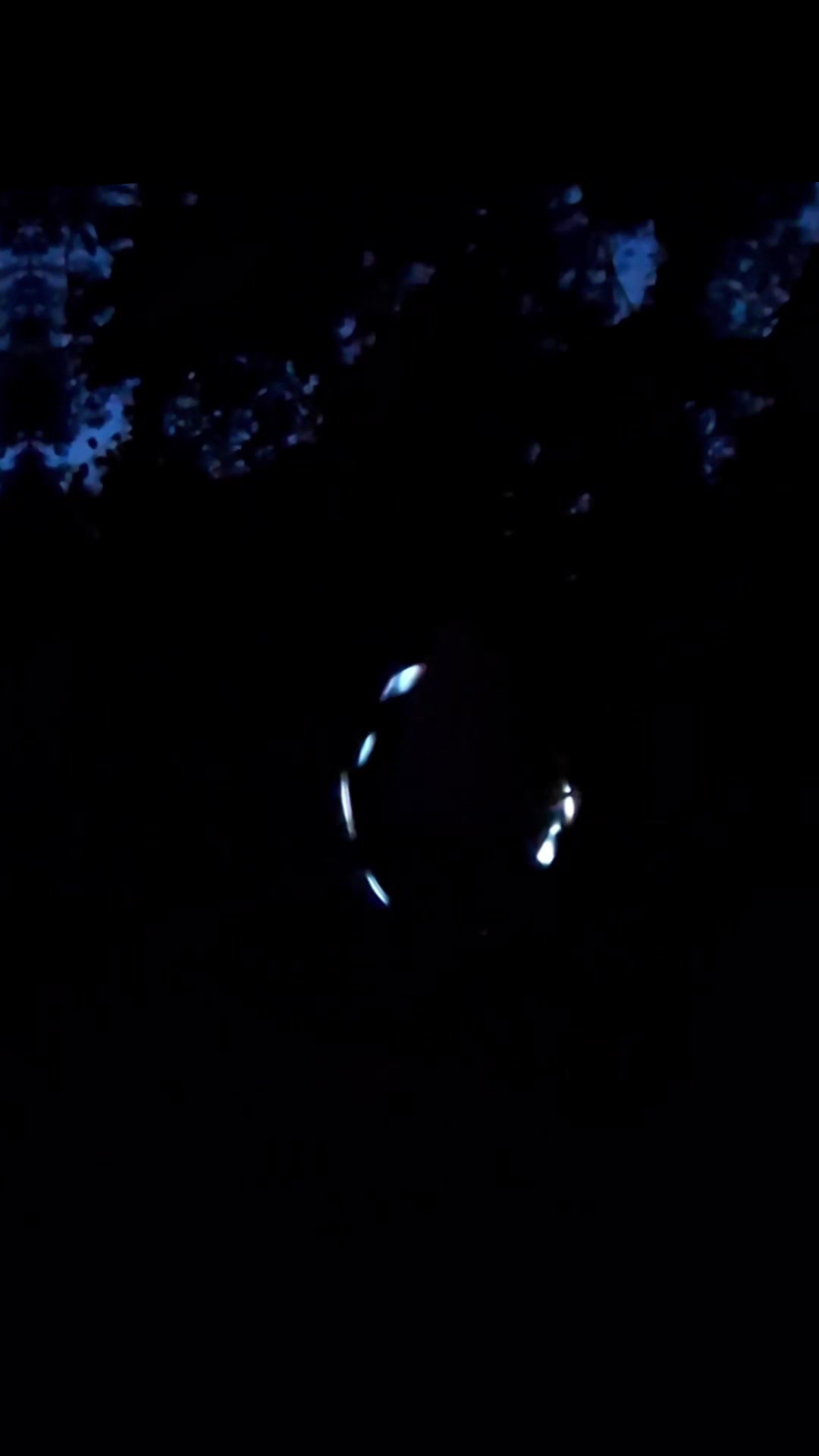 @Spinnyſǝuuʎ