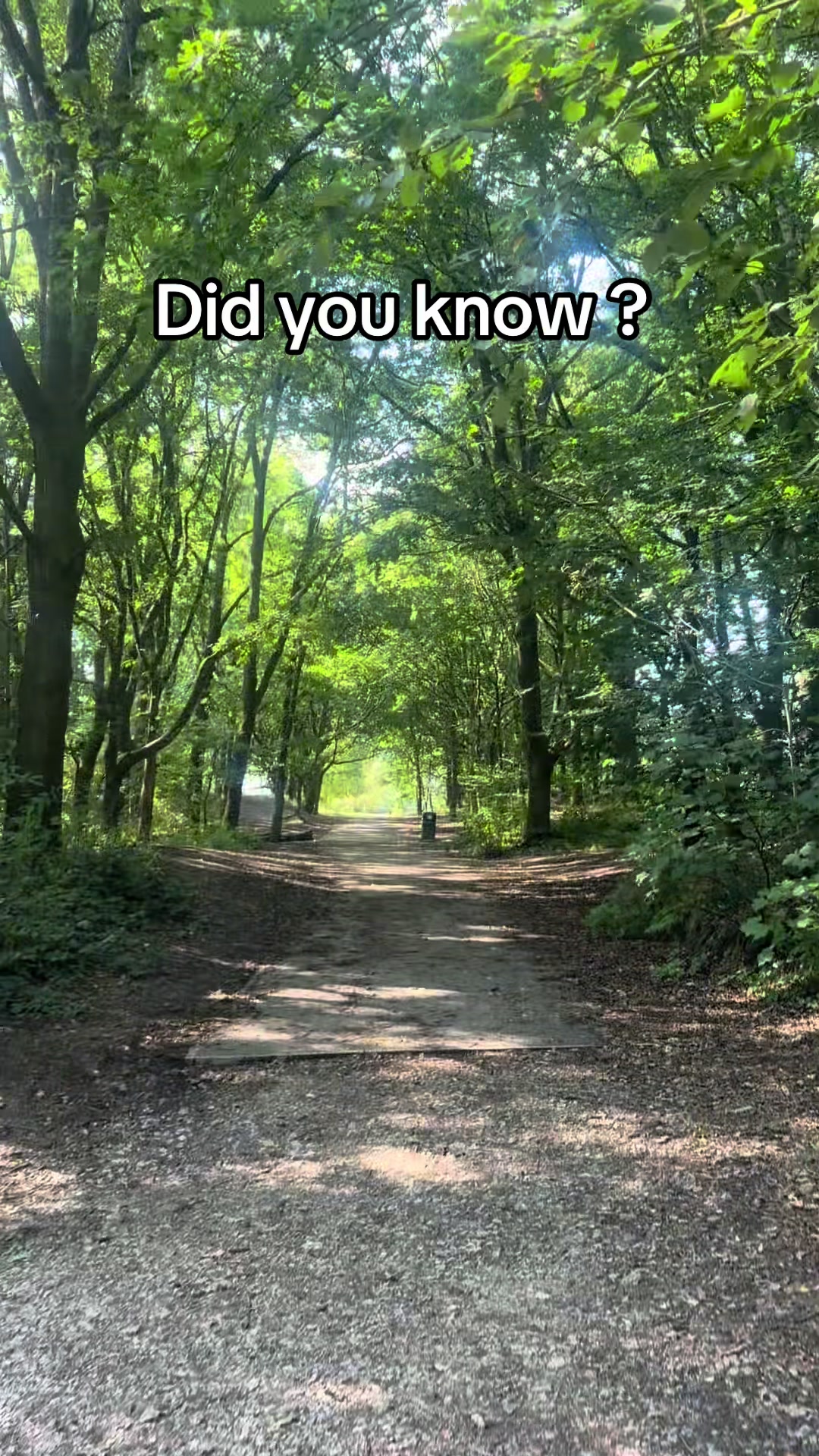 @~Faith~