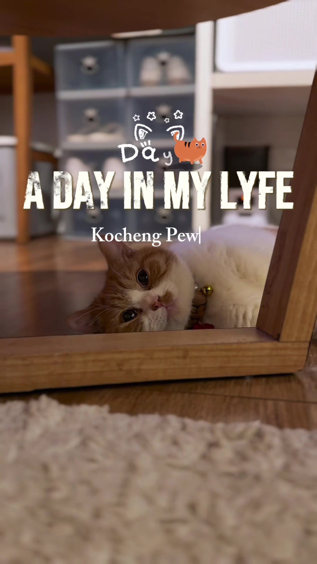 @MEOWOMPONG