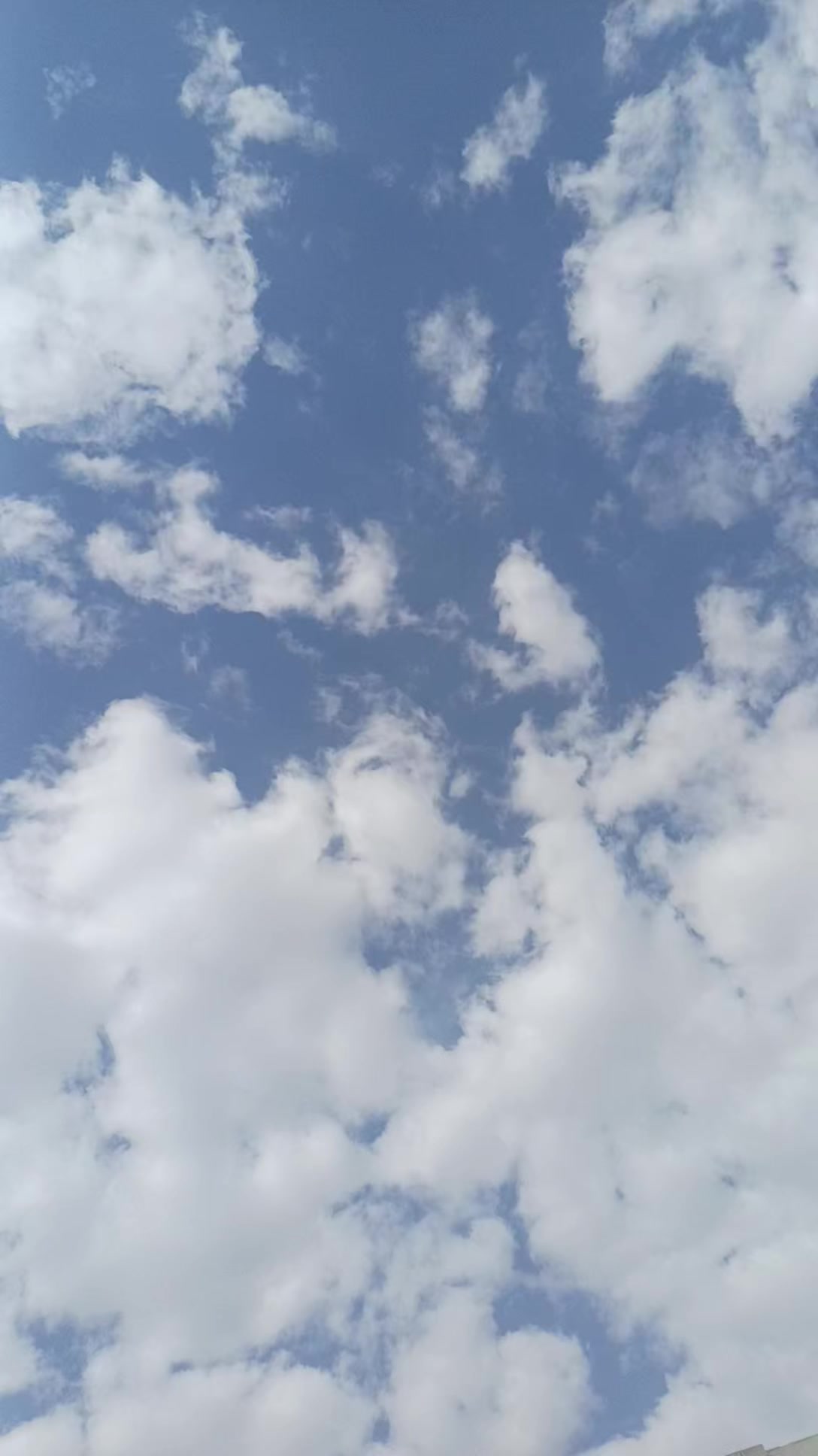 @༺ام مروان༻❤️