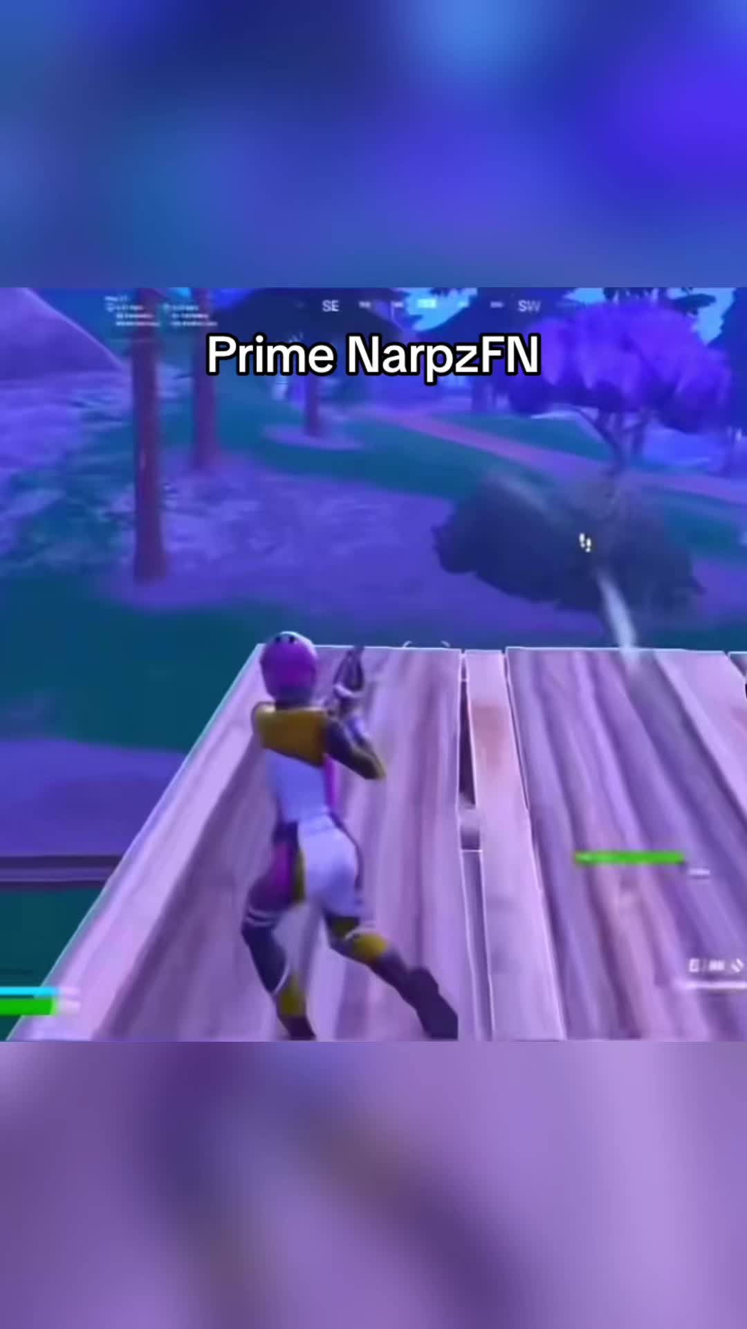 @NarpzFN