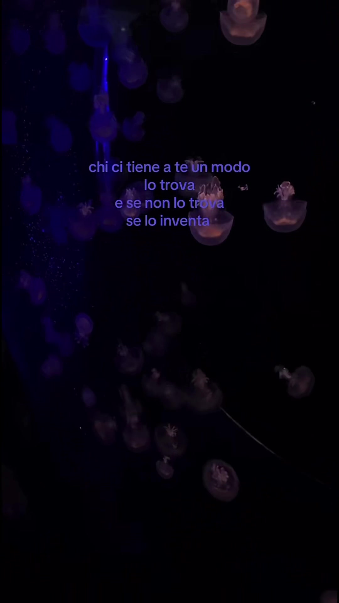 @🔗