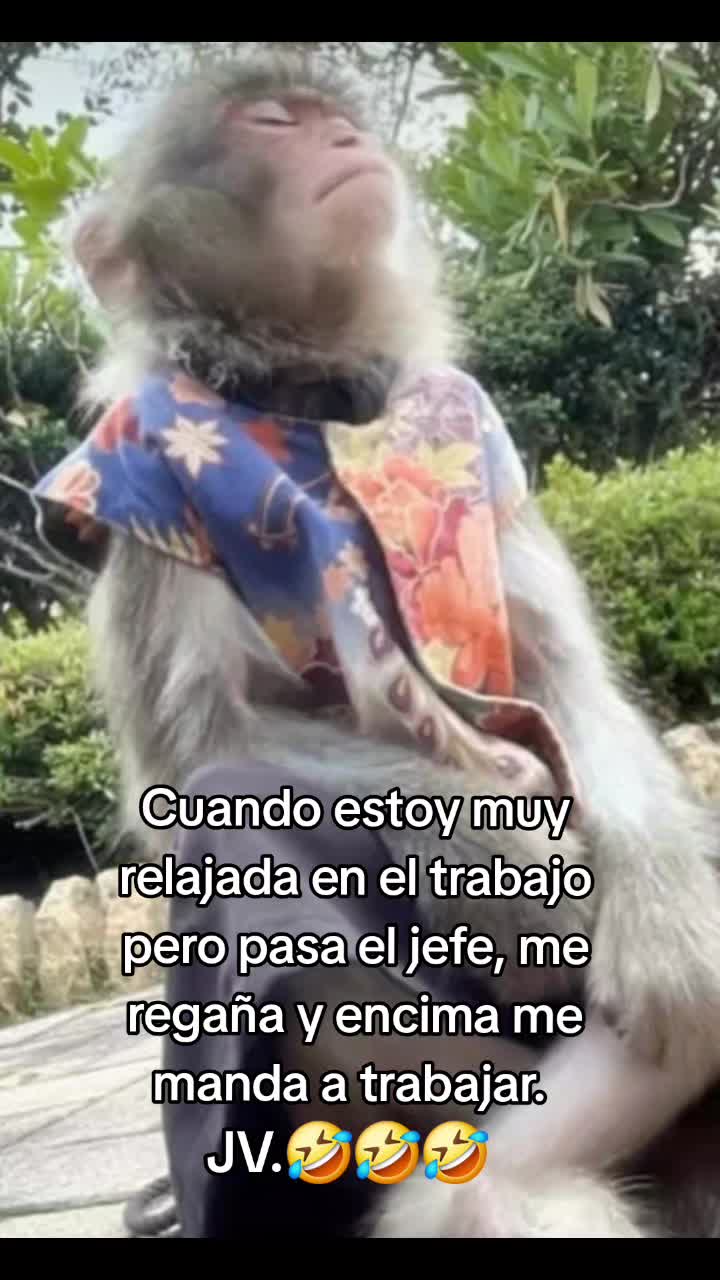 @Jeney Valladares