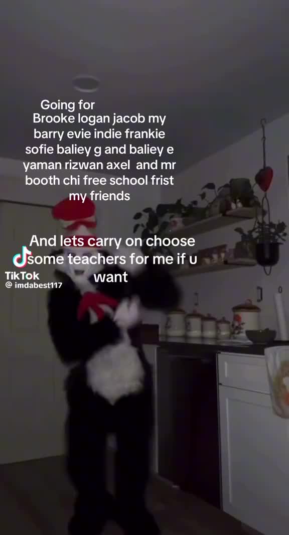@cat in the hat
