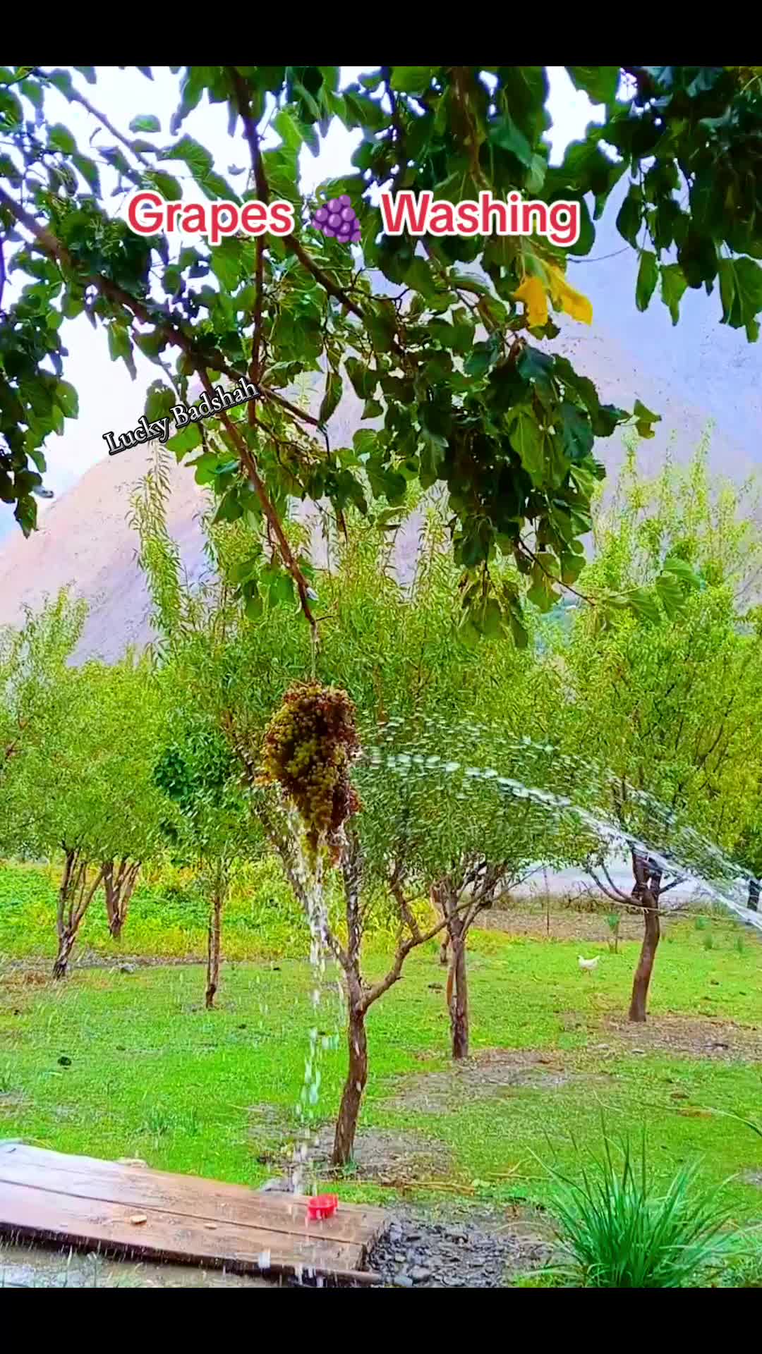 @Lucky Badshah🇵🇰